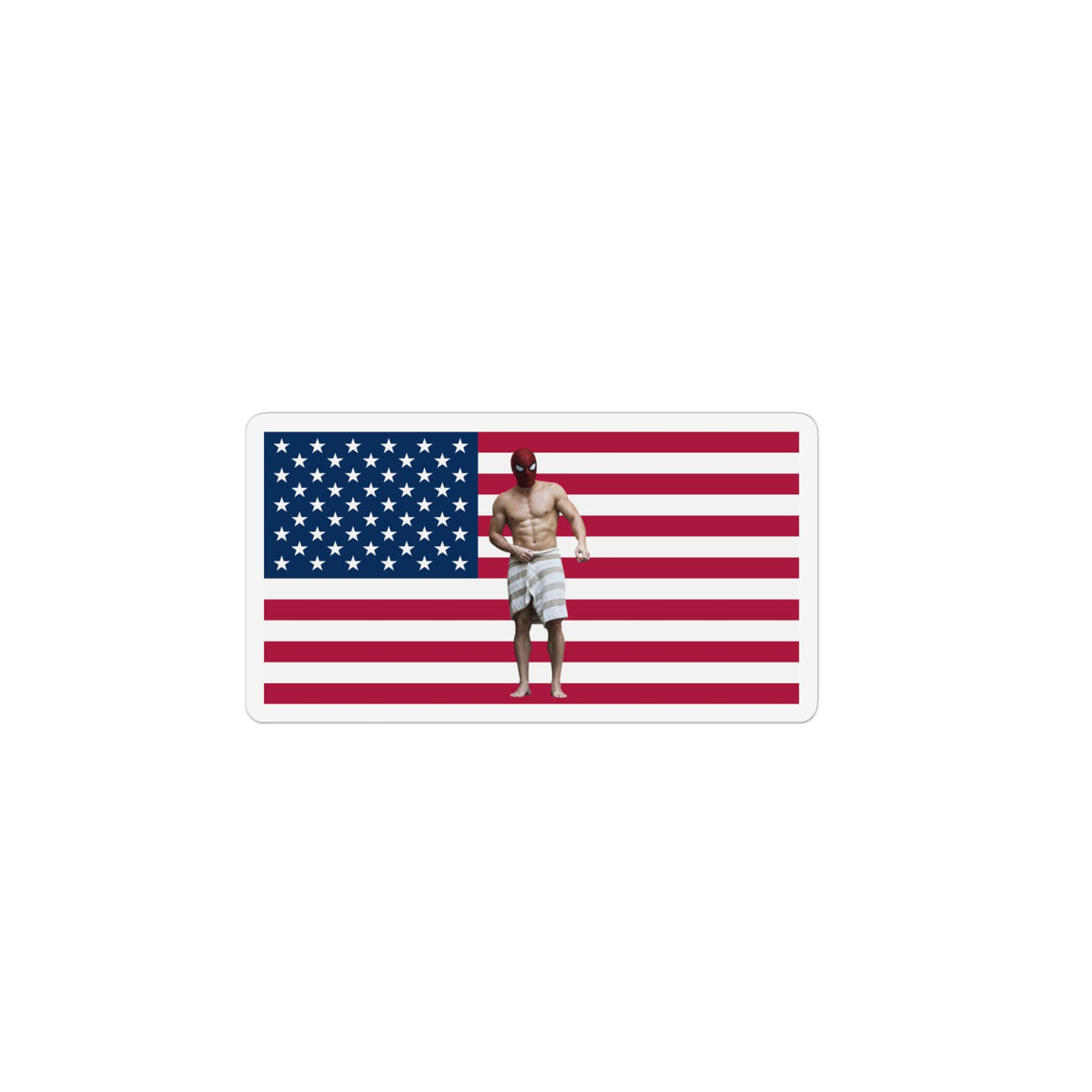 Spidermen Brand New Day America Flag Magnet