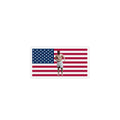 Spidermen Brand New Day America Flag Magnet