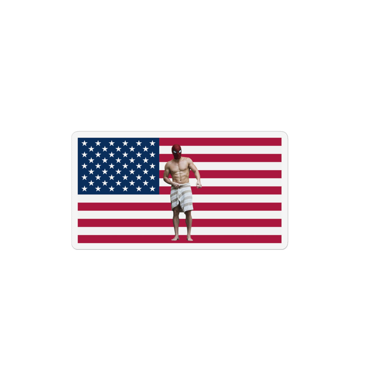 Spidermen Brand New Day America Flag Magnet