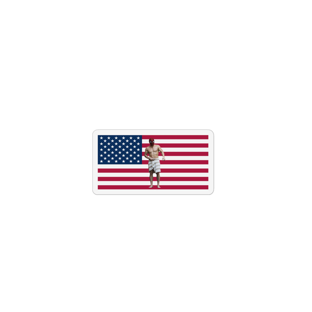 Spidermen Brand New Day America Flag Magnet